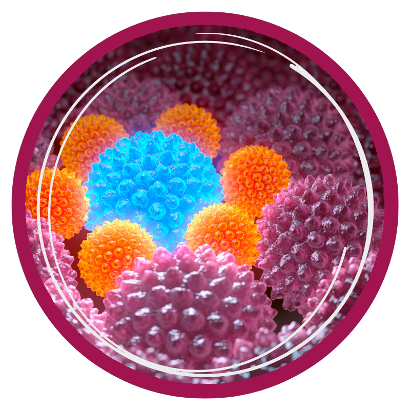 cellular