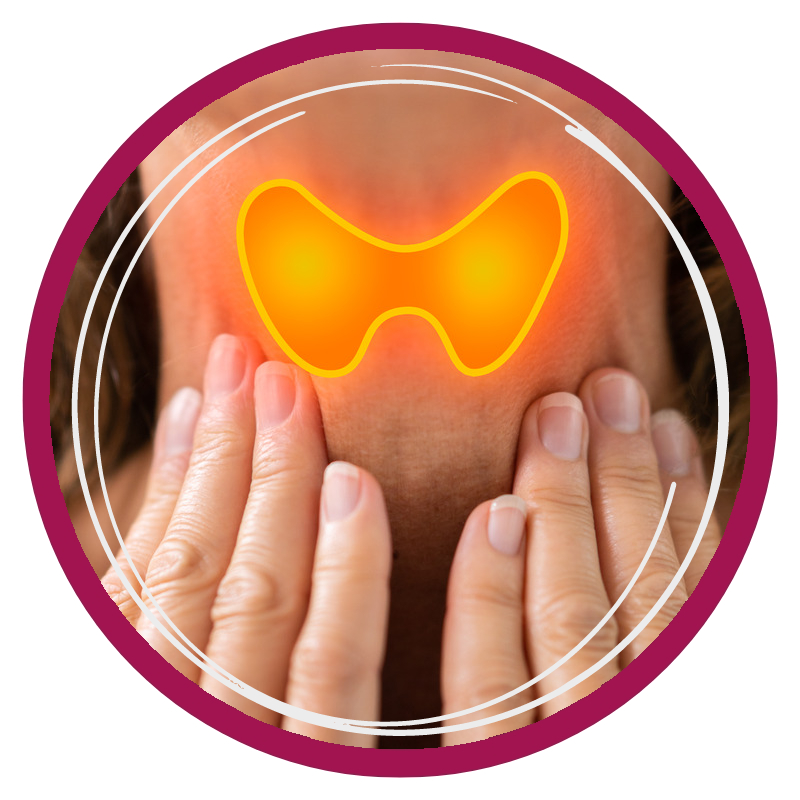 thyroid2